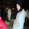 Onnion 2006 51